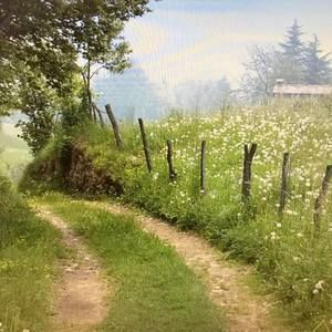 Meet your Posher, Gayle